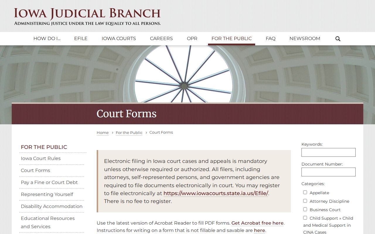 Iowa forms for Monroe County criminal court cases
